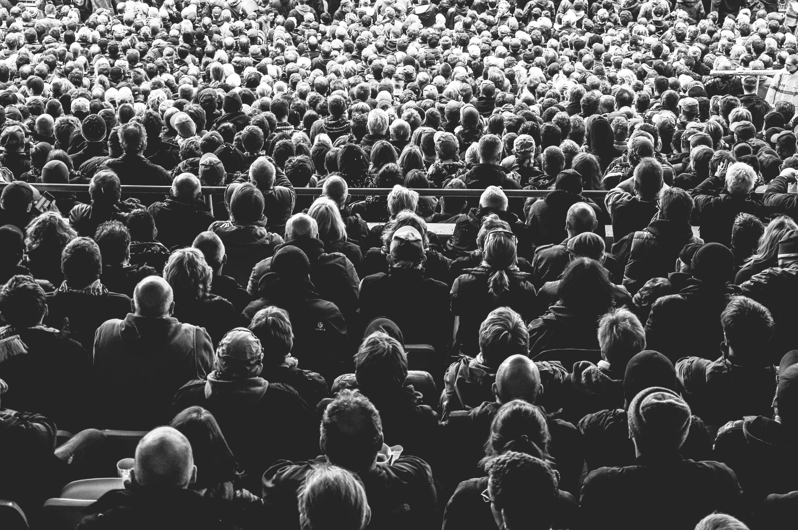 image of audience from the back